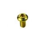 PERNOS ROTOR 6 UNIDADES AL TORX20 M5X10.5  ASHIMA NEGRO DORADO